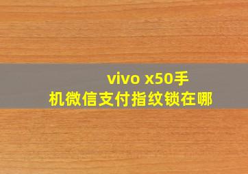 vivo x50手机微信支付指纹锁在哪